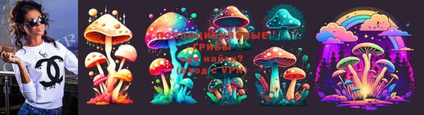 прущие крисы Балахна