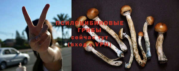 прущие крисы Балахна