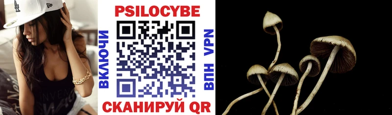 Псилоцибиновые грибы Psilocybine cubensis  Буинск 